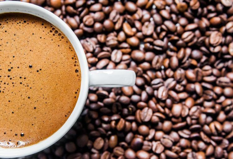 Barista_Geert Blomme_Freepik_Dragana_Gordic