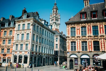 Lille - pexels-matteo-angeloni-106557007-18596312-1