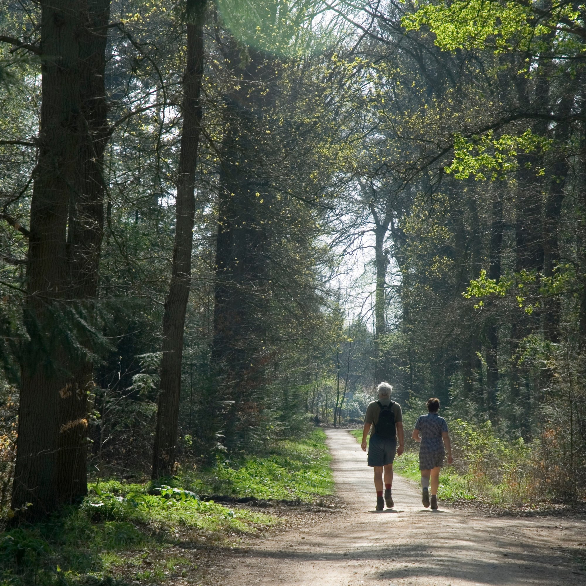 Natuurwandelingen_ontdek en ontmoet_canva