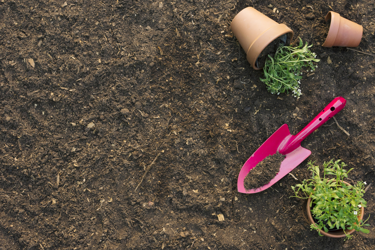 spade-with-flowerpots-ground-1